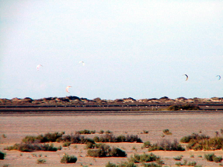 2004-08 Céline Camargue 018.JPG